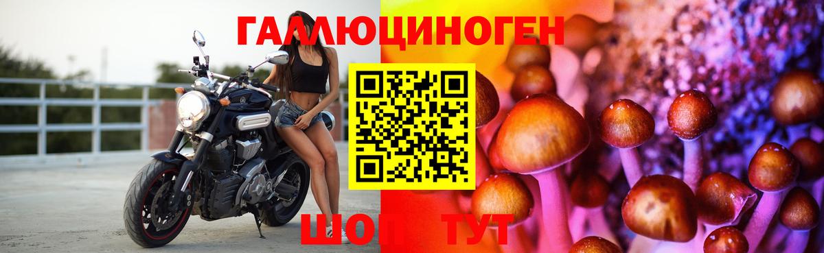 Псилоцибиновые грибы Psilocybe  Вход с VPN  Богородск 